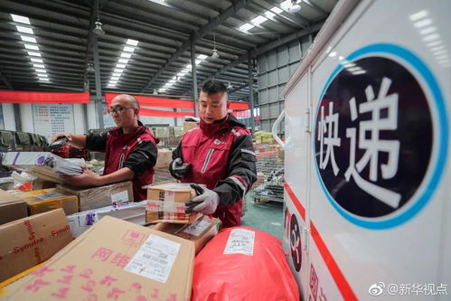 雙11成都消費(fèi)者最愛買什么 成都 海淘 為啥便宜 收貨還快